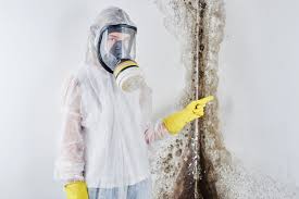 Best Asbestos and Lead Testing During Mold Inspection  in Sparta, NC